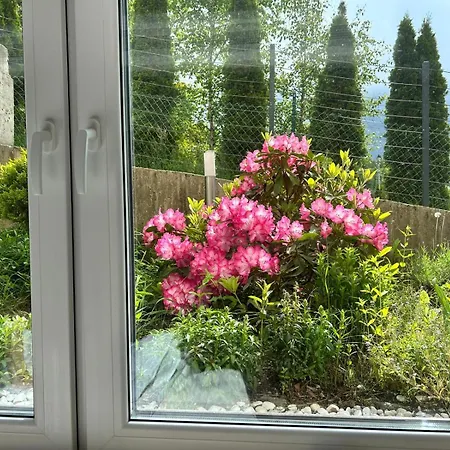 Karkonosky - Izerski Ogrod