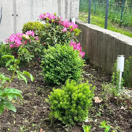 Apartment Karkonosky - Izerski Ogrod *