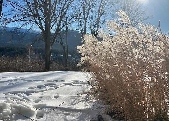Karkonosky - Izerski Ogrod Apartment