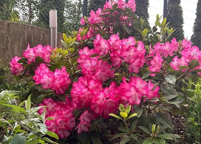 Apartment Karkonosky - Izerski Ogrod